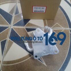 Két sinh hàn Civic