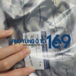 Gioăng đại tu Stavic