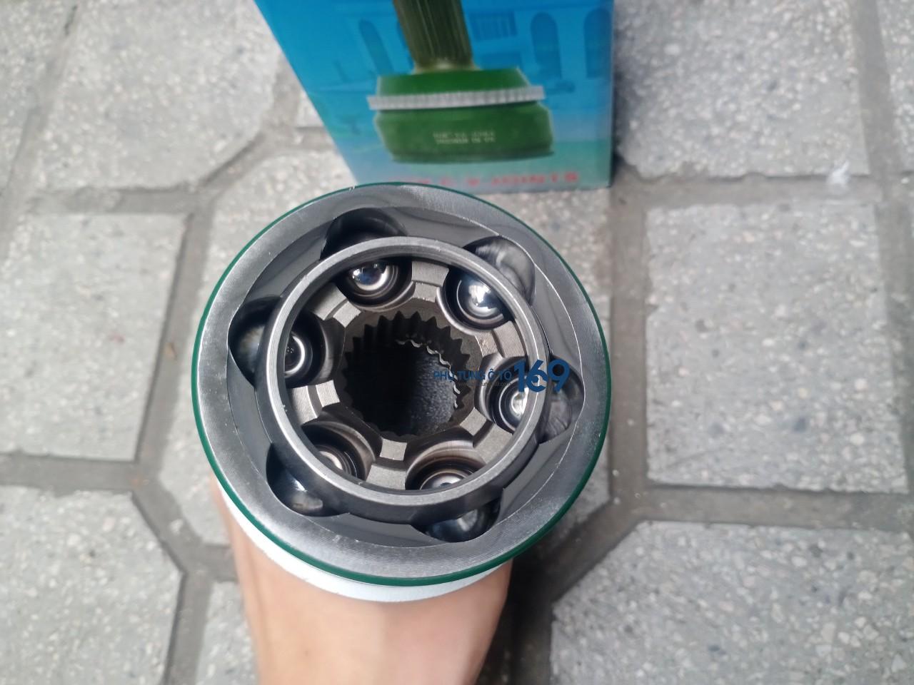Đầu láp ngoài Ceratoaa