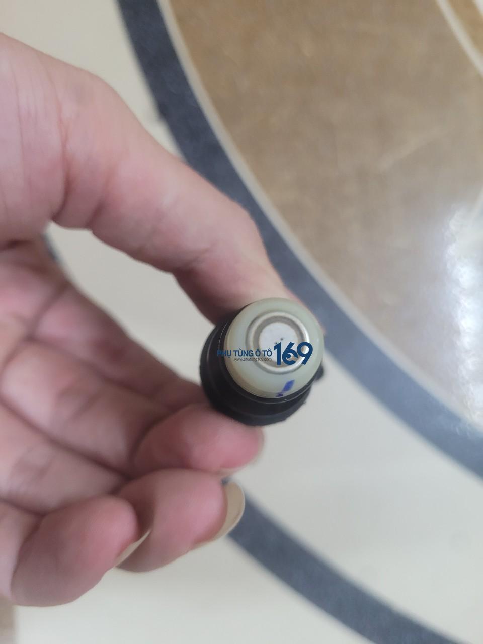 Kim phun xăng Aveoa