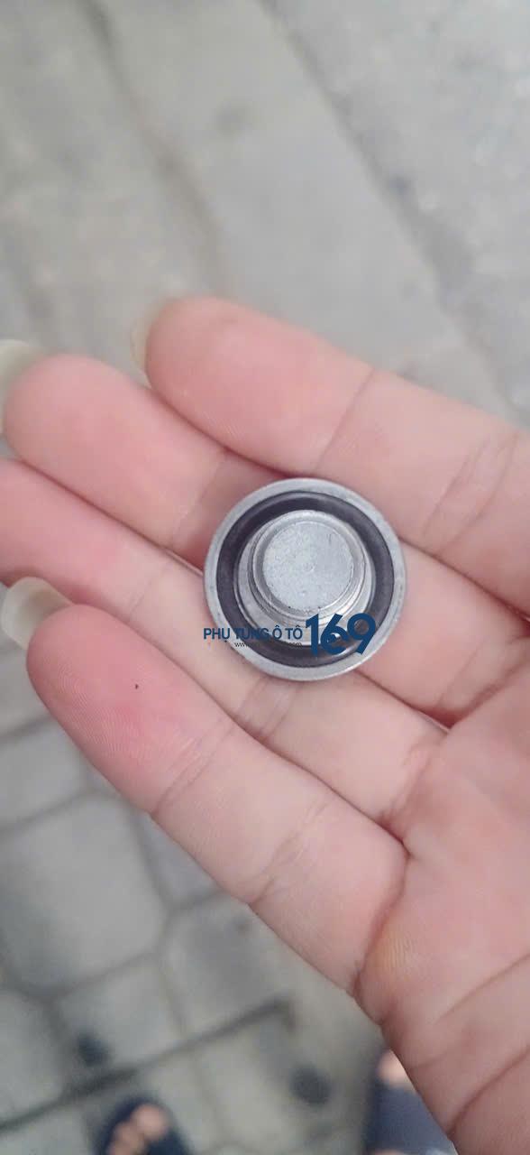 Ốc xả dầu Colorado