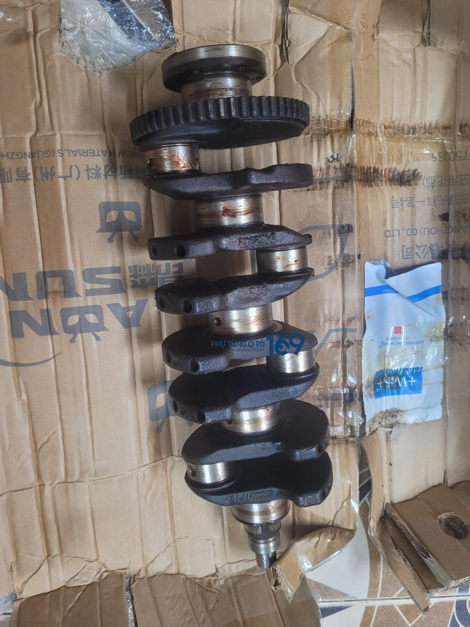 Trục cơ bãi Lacettia