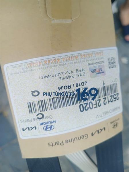 Dây curoa tổng Sedonaa