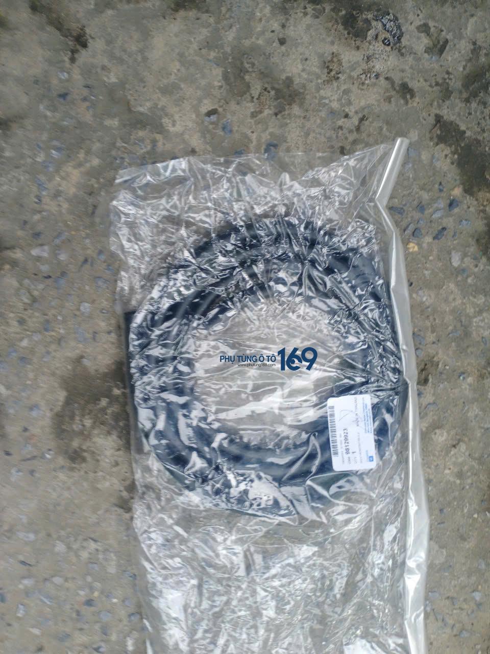 Gioăng khung cửa trước Traiblazer Gioăng khung cửa trước Traiblazer