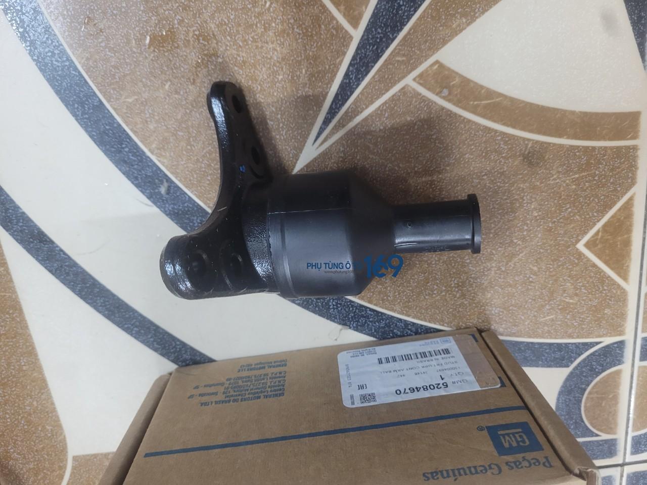 Rotuyn đứng Coloradoâ