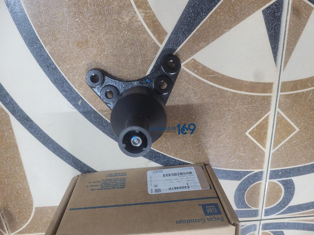 Rotuyn đứng Coloradoa