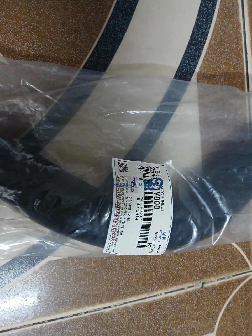 Ống nước trên Morning