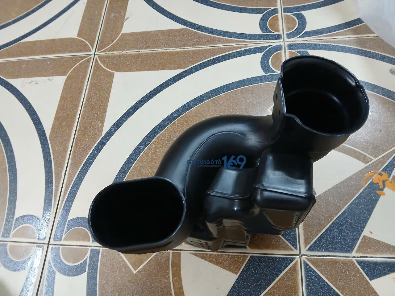 Bầu tiêu âm Everest Bầu tiêu âm Everest