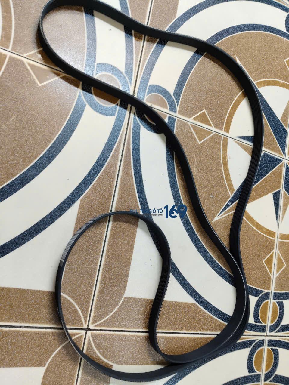 Dây cu roa tổng Transit Dây cu roa tổng Transit