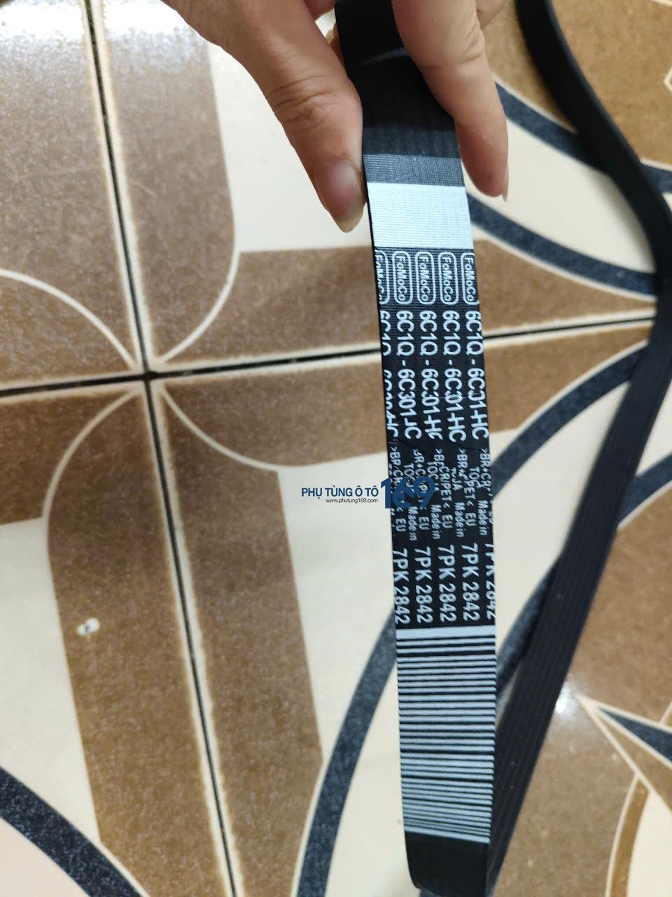 Dây curoa tổng Transita