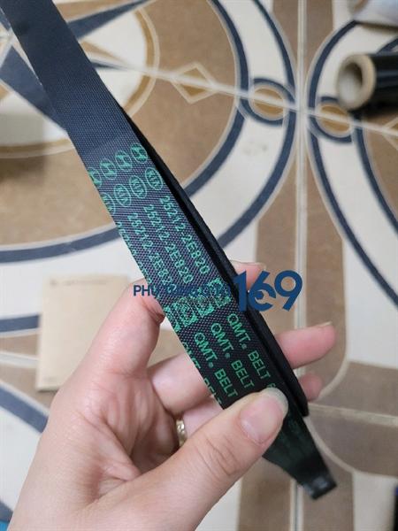 Dây curoa tổng Rondo Dây curoa tổng Rondo