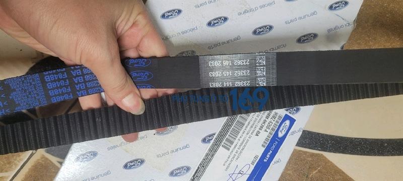 Dây curoa cam Ecosport