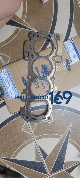 Gioăng mặt máy Ecosporta