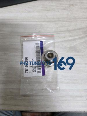 Van đuôi lốc Ford Ecosport