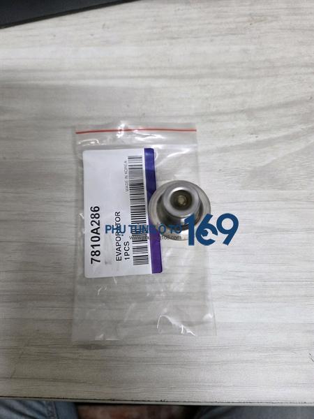 Van đuôi lốc Ford Ecosport Van đuôi lốc Ford Ecosport