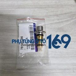 Van đuôi lốc Ford Ecosport