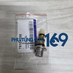 Van đuôi lốc Ford Ecosport