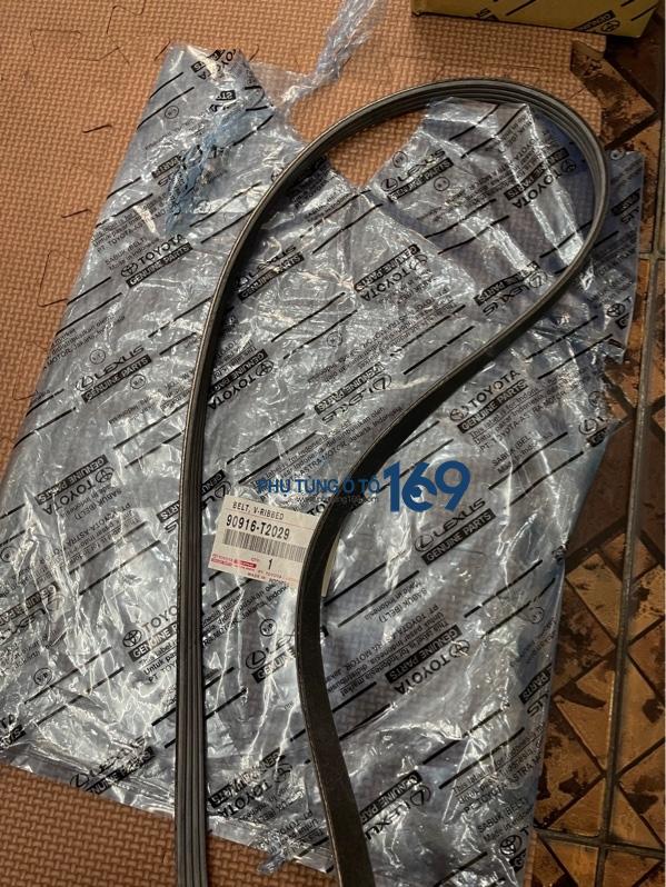 Dây curoa tổng Toyota Yaris Dây curoa tổng Toyota Yaris