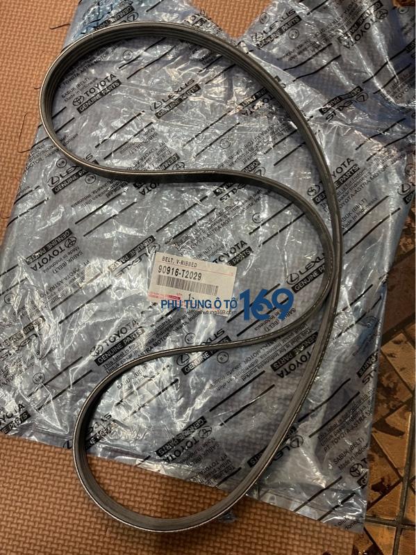 Dây curoa tổng Toyota Yaris Dây curoa tổng Toyota Yaris